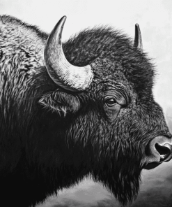 Monochrome Buffalo Diamond Painting