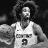 Monochrome Coby White Basketball Diamond Painting