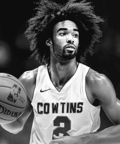 Monochrome Coby White Basketball Diamond Painting