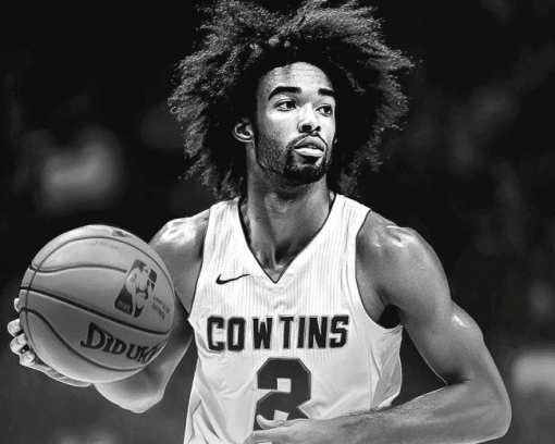 Monochrome Coby White Basketball Diamond Painting