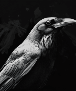 Monochrome Raven Diamond Painting