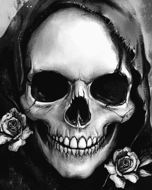 Monochrome Skull Diamond Painting