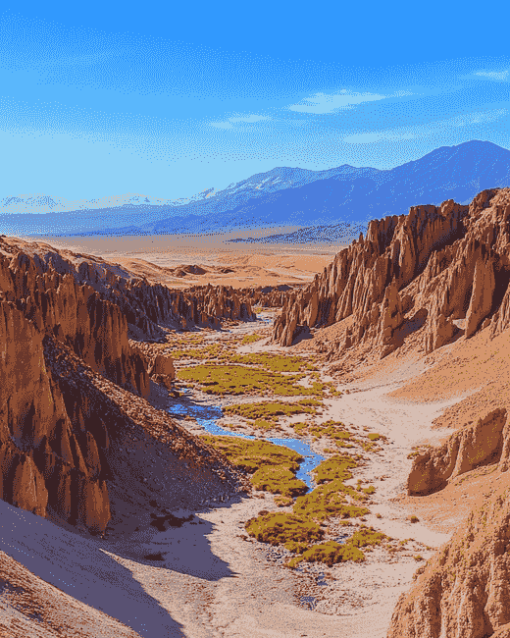 Moon Valley Atacama Landscape Diamond Painting