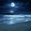 Moonlit Beach Seascape Diamond Painting