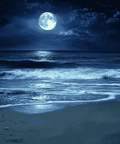 Moonlit Beach Seascape Diamond Painting