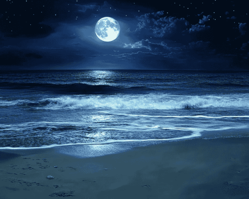 Moonlit Beach Seascape Diamond Painting