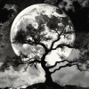 Moonlit Tree Silhouette Diamond Painting