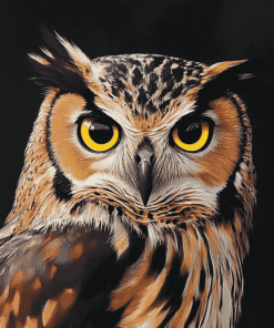 Morepork Owl Bird Diamond Painting