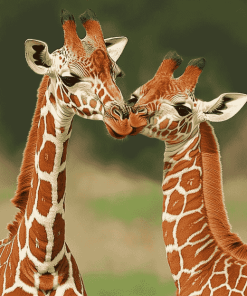 Mother Giraffe Wildlife Diamond Painting