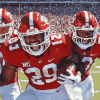 NC State Wolfpack Football Stars Diamond Painting