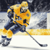 Nashville Predators Ice Hockey Diamond Painting