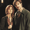 Nymphadora Tonks Remus Lupin Movie Series Diamond Painting