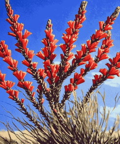 Ocotillo Blossoming Plant Diamond Painting