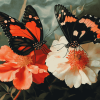 Orange Butterflies and Blossoms Diamond Painting