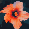 Orange Hibiscus Blossoms Diamond Painting