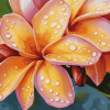 Orange Plumeria Blossoms Diamond Painting