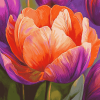 Orange Purple Tulip Blossoms Diamond Painting