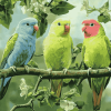 Parrotlet Birds on Tree Branch Diamond Painting