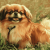 Pekingese Puppy Diamond Painting