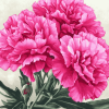 Pink Carnation Blooms Diamond Painting