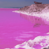 Pink Lake Retba Scenic Diamond Painting