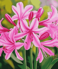 Pink Nerine Blossoms Diamond Painting