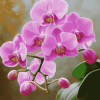 Pink Orchid Blossoms Diamond Painting