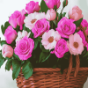 Pink Roses Basket Diamond Painting