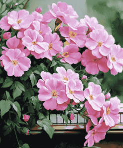 Pink Roses Bloom Diamond Painting