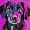 Pink and Black Puppy Diamond Painting