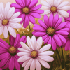 Pink and Purple Daisy Blossoms Diamond Painting