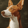 Podenco Puppy Diamond Painting