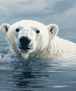 Polar Bear Swimming Diamond Painting