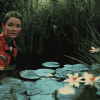 Pond Life Film Diamond Painting