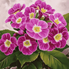 Purple Blossoms Diamond Painting