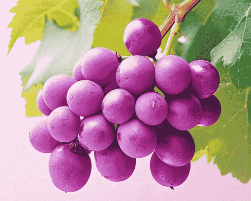 Purple Grapes Diamond Painting