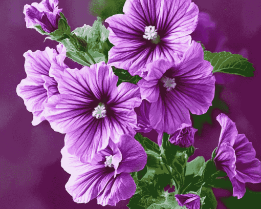 Purple Mallow Blossoms Diamond Painting