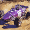 Purple Sprint Car Excitement Diamond Painting