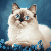 Ragdoll Kitty Diamond Painting