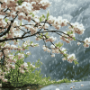 Rainy Spring Landscape Diamond Painting