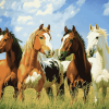 Ranch Horses Diamond Painting