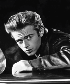 Rebel Without A Cause Monochrome Diamond Painting