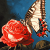 Red Rose with Butterfly Diamond Painting