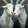 Romantic Goat Pair Diamond Painting