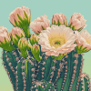 Saguaro Cactus Blossoms Diamond Painting