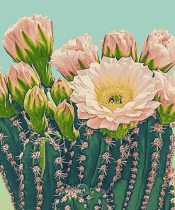 Saguaro Cactus Blossoms Diamond Painting