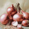 Shallots Onion Diamond Painting