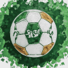 Shamrock Rovers Football Diamond Painting