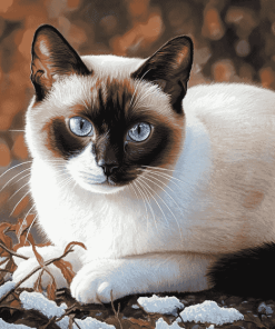 Siamese Snowshoe Kitty Diamond Painting