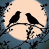 Silhouette Birds on Branch Diamond Painting